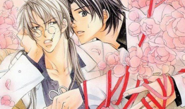 耽美高h动漫,耽美高H动漫激情四溢的故事